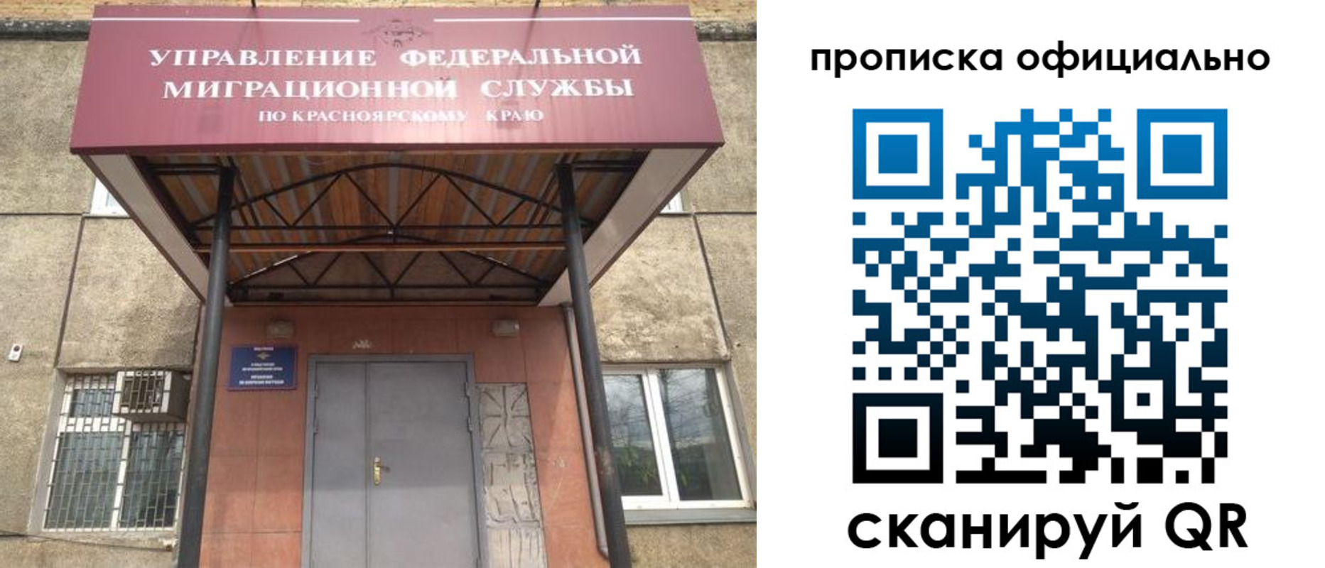 прописка поиск в Нововоронеже